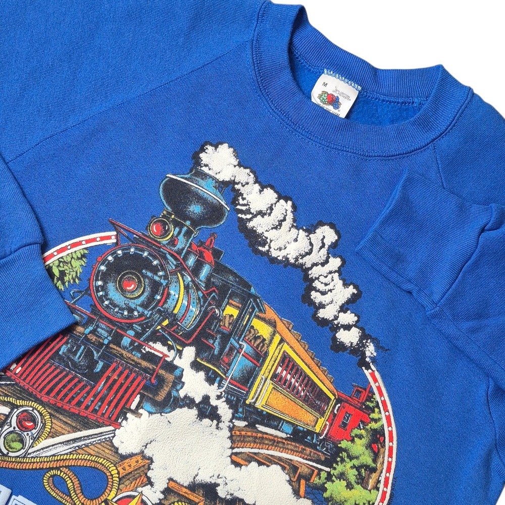 VTG Fruit of the Loom Unisex M Texas Train‎ Graphic Sweatshirt Made in USA